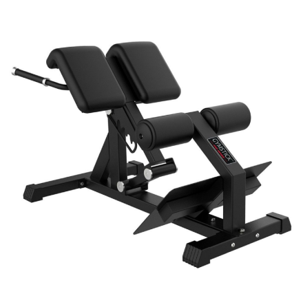 Ryggbnk Gymstick Back Bench Pro