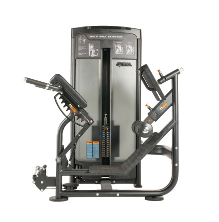 Multi Back Extension 80 kg, TF Advanced 